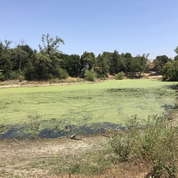 Overfelt Gardens Park - Nasty green water - Parks Near Me - San Jose, California Overfelt Gardens Park - Nasty green water - Parks Near Me - San Jose, California