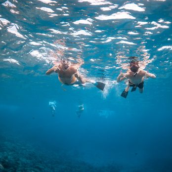 Trilogy Excursions - These are some examples of the photos the photographer took - Snorkeling Near Me - Lahaina, Hawaii