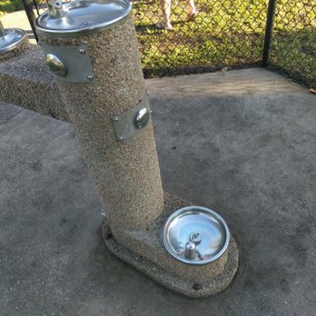 Burt Aaronson South County Regional Park - Fountain for humans and dogs - Parks Near Me - Boca Raton, Florida