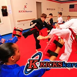 Kicks Karate