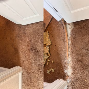 Bulldog Carpet Cleaning - Carpet Cleaning Near Me Bulldog Carpet Cleaning - Carpet Cleaning Near Me