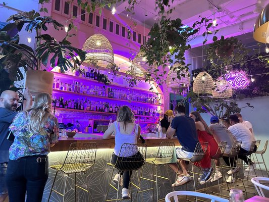 Bar Cala by null