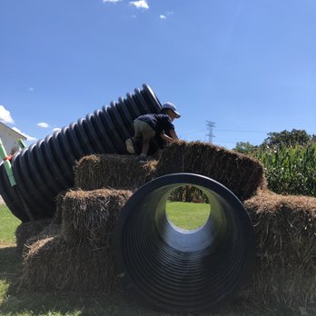 Sugar Grove Pumpkin Farm - Good area for kids at no charge - Farmers Market Near Me - Sugar Grove, Illinois Sugar Grove Pumpkin Farm - Good area for kids at no charge - Farmers Market Near Me - Sugar Grove, Illinois