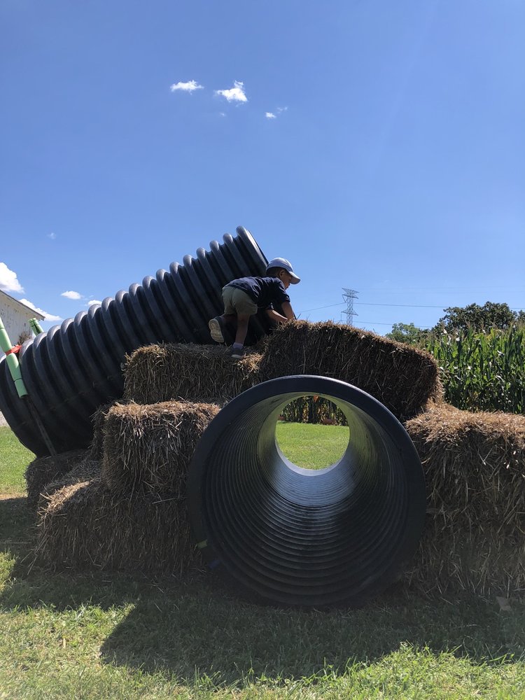 SUGAR GROVE PUMPKIN FARM 26 Photos 4S041 Merrill Rd, Sugar Grove