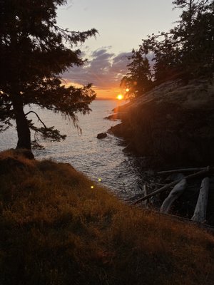 Discovery Sea Kayak Tours by null