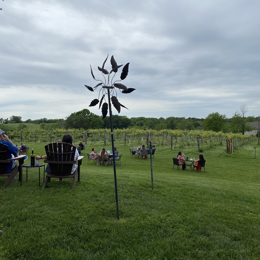 Views of the vinyard Views of the vinyard