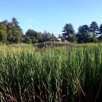 Hidden Pond - Parks Near Me - Hingham, Massachusetts Hidden Pond - Parks Near Me - Hingham, Massachusetts