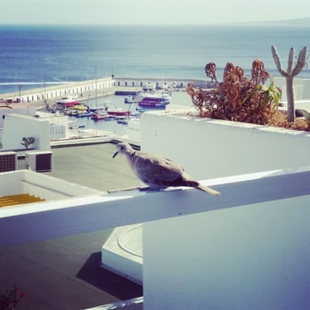 BelleVue Aquarius - Hotels Near Me - Tías, GC
