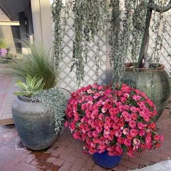 Griggs Nursery - Nurseries & Gardening Near Me - Carmel-by-the-sea, California