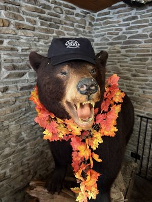 The Back Burner Restaurant by null