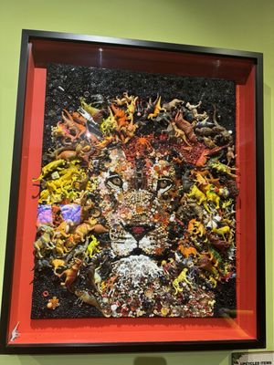 Ripley's Believe It or Not! by null