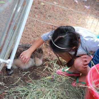 Little Reds Barnyard Friends - Petting Zoos Near Me
