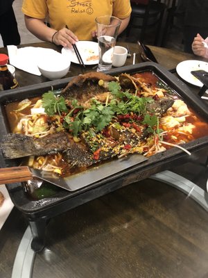 FU ZHI ZHOU - Updated December 2025 - 5207 7th Ave, Brooklyn, New