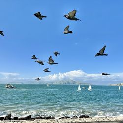 Marina Green Park - Clear view Alcatraz today