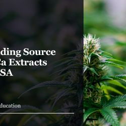 Boston Hemp - Leading source for THCa Extracts
