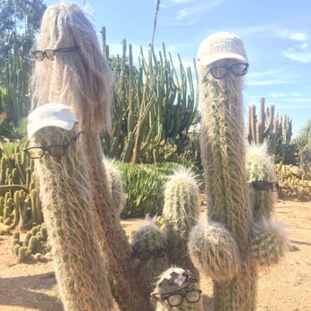 Cactus Country - Parks Near Me - Strathmerton, VIC