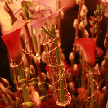Nature's Gallery Florist - Perfect arrangement for a chemists' wedding, complete with test tubes incorporated into the main foyer arrangement. Genius! - Florists Near Me - Philadelphia, Pennsylvania Nature's Gallery Florist - Perfect arrangement for a chemists' wedding, complete with test tubes incorporated into the main foyer arrangement. Genius! - Florists Near Me - Philadelphia, Pennsylvania