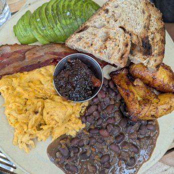 Fig Tree - Cafes Near Me - Los Angeles, California Fig Tree - Cafes Near Me - Los Angeles, California