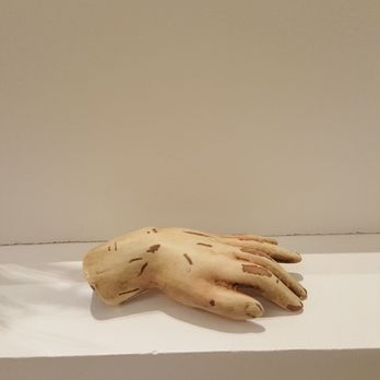 Frye Art Museum - A doll hand for sale in the gift shop. - Art Museums Near Me - Seattle, Washington Frye Art Museum - A doll hand for sale in the gift shop. - Art Museums Near Me - Seattle, Washington