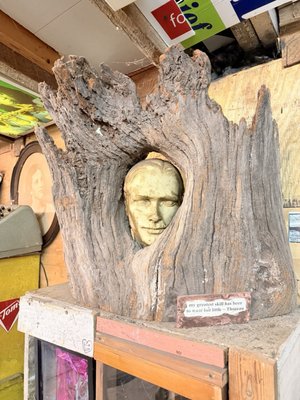 Abita Mystery House / UCM Museum by null