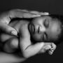 Photo of Anamaria Brandt Photography