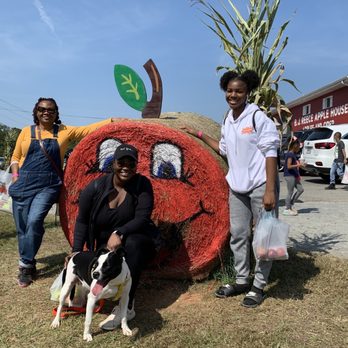 BJ Reece Orchards - Fruits & Veggies Near Me - Ellijay, Georgia