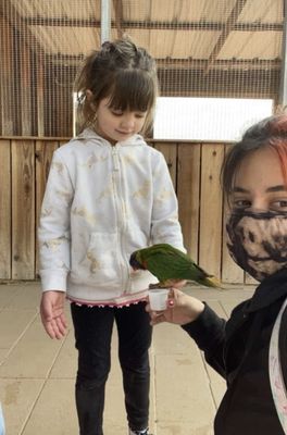 Rooster Cogburn Ostrich Ranch by null