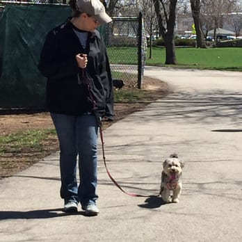 Polite Paws Dog Training - Pet Training Near Me