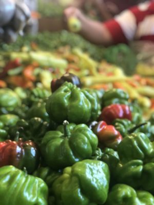 Mercado Lucas De Galvéz by null