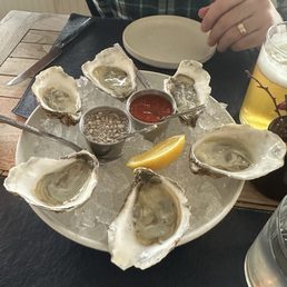 Oysters Oysters