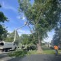 RO Tree Service