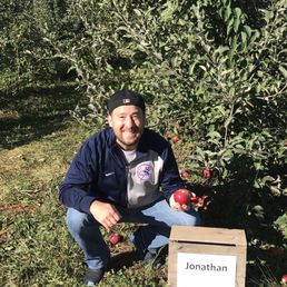 Picking apples Picking apples