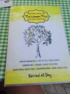 The Lemon Tree by null