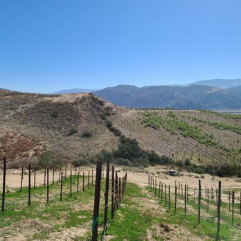 Gershon Bachus Vintners - Venues & Event Spaces Near Me - Temecula, California