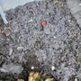 Photo of 360 Dryer Vent Cleaning