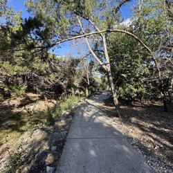 Chandler Park