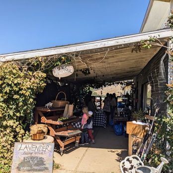 Dries Farms - Lavendar bouquets and weigh station - Pick Your Own Farms Near Me - Tehachapi, California
