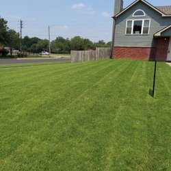 Synthetic Lawn Care