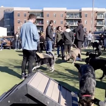 Metazoa Brewing Company - Dog park - Breweries Near Me - Indianapolis, Indiana