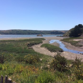 Hog Island Oyster - A Shot of Tomales Bay - Seafood Near Me - Marshall, California