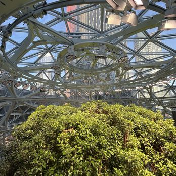 Amazon Spheres - Botanical Gardens Near Me - Seattle, Washington