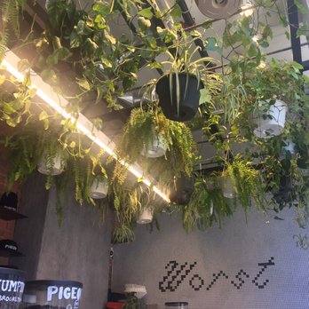 Pigeon - Coffee & Tea Near Me - Montreal, Quebec