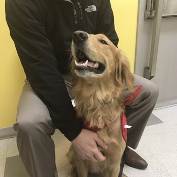 Caring Hands Veterinary Clinic - Veterinarians Near Me - Philadelphia, Pennsylvania