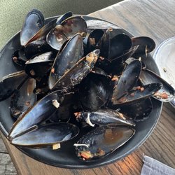Empty mussels end of meal