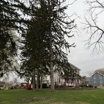 Rich's Complete Tree Service - House and yard before - Tree Services Near Me - Pottstown, Pennsylvania
