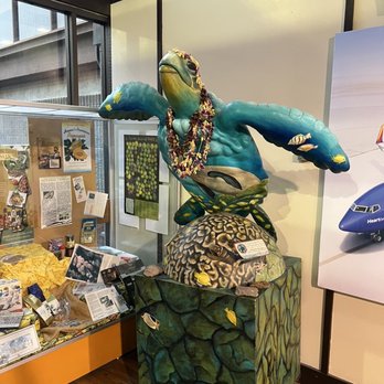 Hilo International Airport - ITO - Airports Near Me - Hilo, Hawaii Hilo International Airport - ITO - Airports Near Me - Hilo, Hawaii
