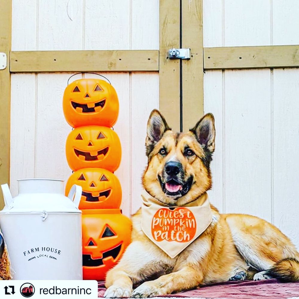 PET FOOD DEPOT Updated July 2024 386 Photos & 20 Reviews 6989 N Hayden Rd, Scottsdale