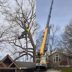 JJ's Tree And Emergency Service