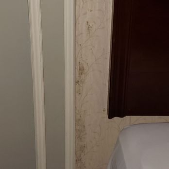 The Grand Summit Hotel - Nice! Woke up with an allergy attack and couldn't breathe. Wtf mold all over the walls right next to the bed. - Hotels Near Me - Summit, New Jersey