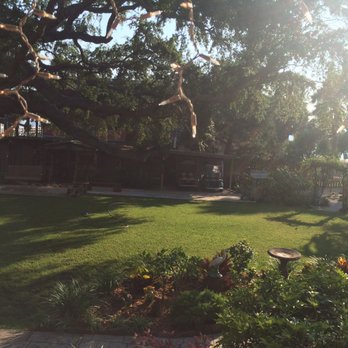 Cedar Key Bed & Breakfast - Beautiful courtyard. Such a relaxing place to sit and have your coffee. - Bed & Breakfast Near Me - Cedar Key, Florida